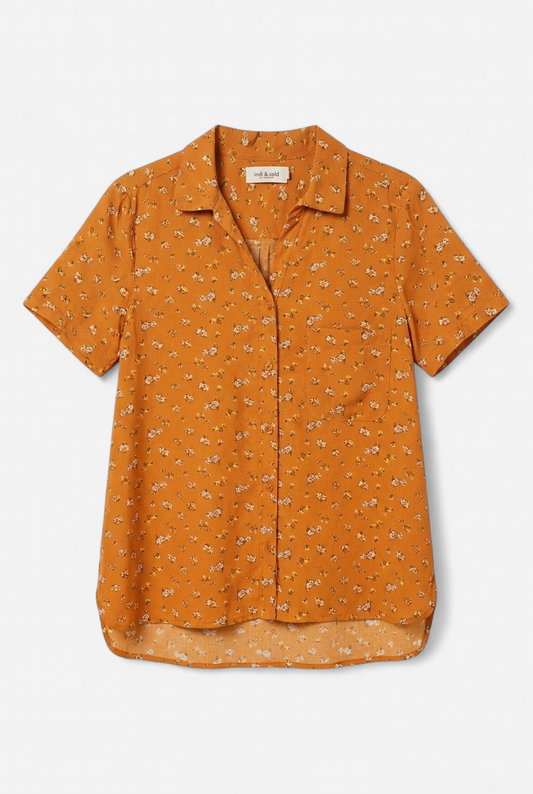 Camisa