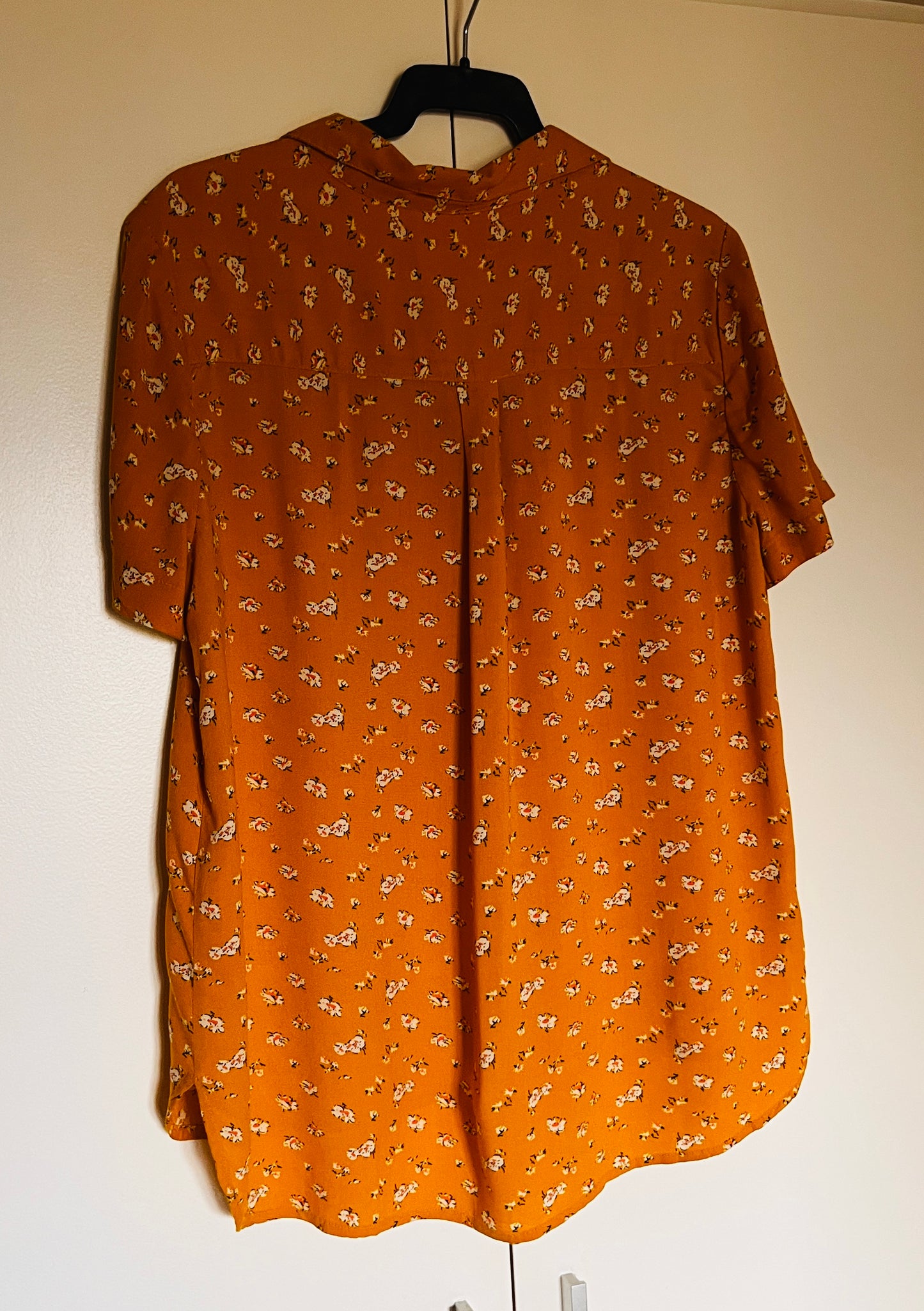 Camisa